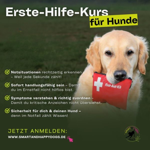 Erste-Hilfe-Kurs Warteliste