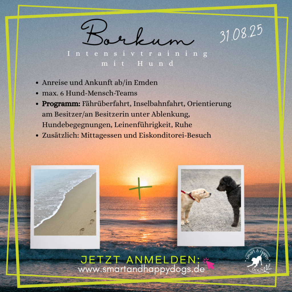 Intensiv- Training Borkum 2025