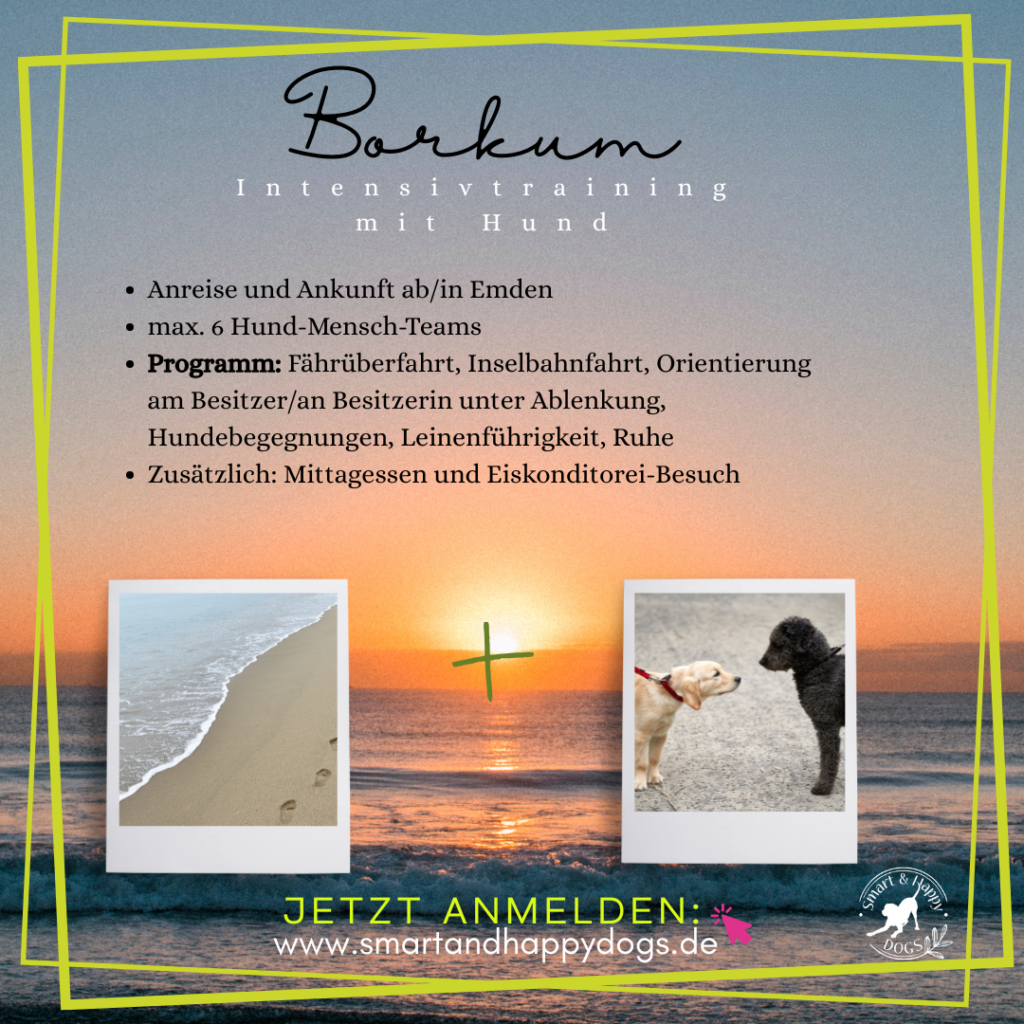 Intensivtraining Borkum